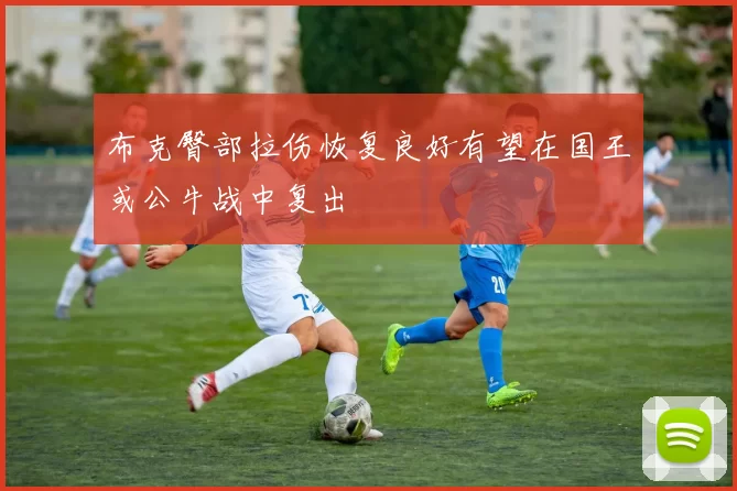 布克臀部拉伤恢复良好有望在国王或公牛战中复出