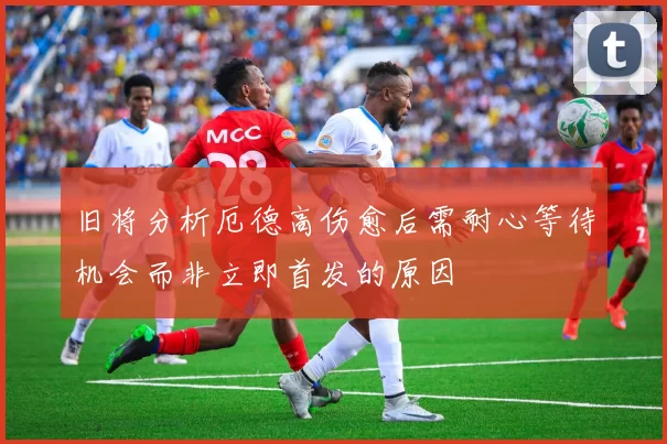 旧将分析厄德高伤愈后需耐心等待机会而非立即首发的原因
